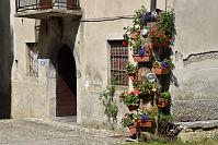 065 Una Montagna di Fiori a Oltre il Colle